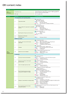 GRI content index 2025